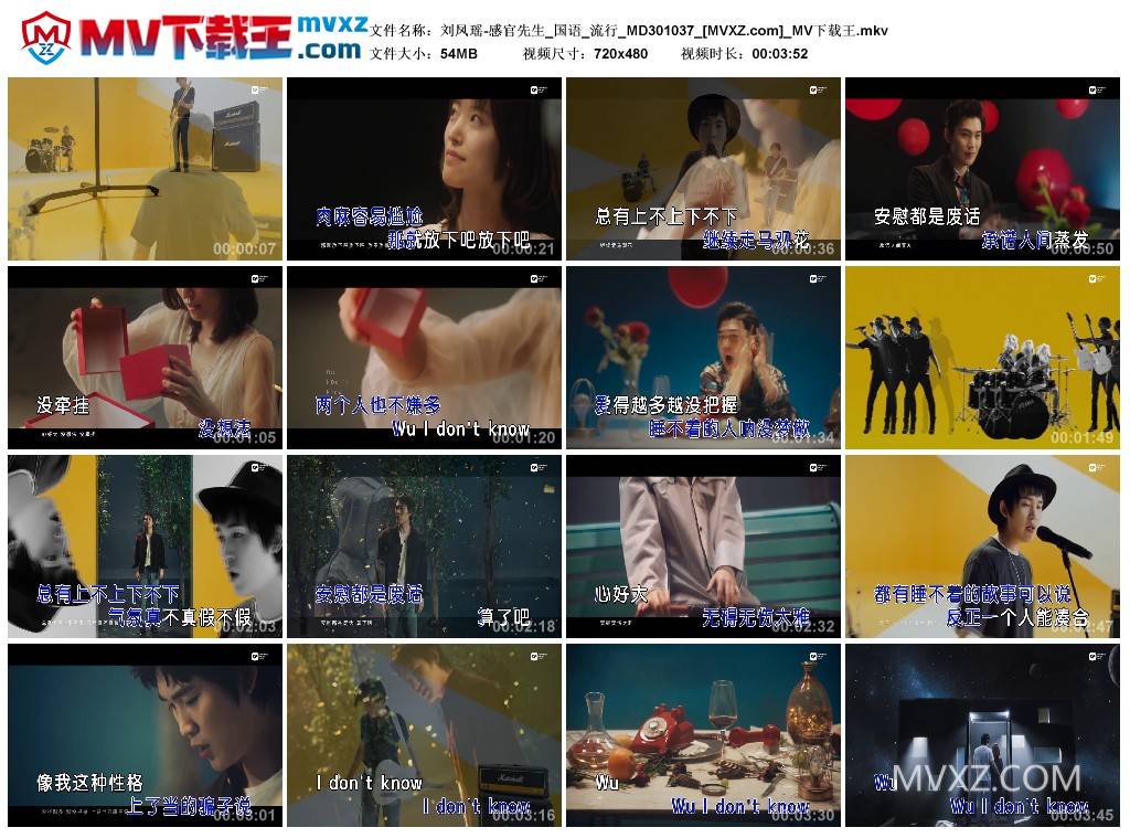 刘凤瑶-感官先生_国语_流行_MD301037